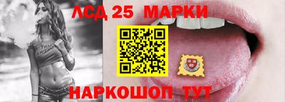 стафф Кандалакша