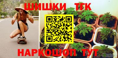 стафф Кандалакша
