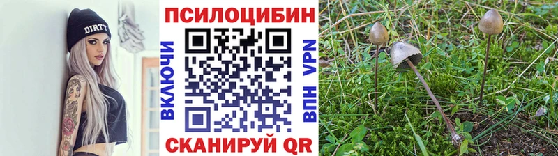 Галлюциногенные грибы MAGIC MUSHROOMS Мичуринск