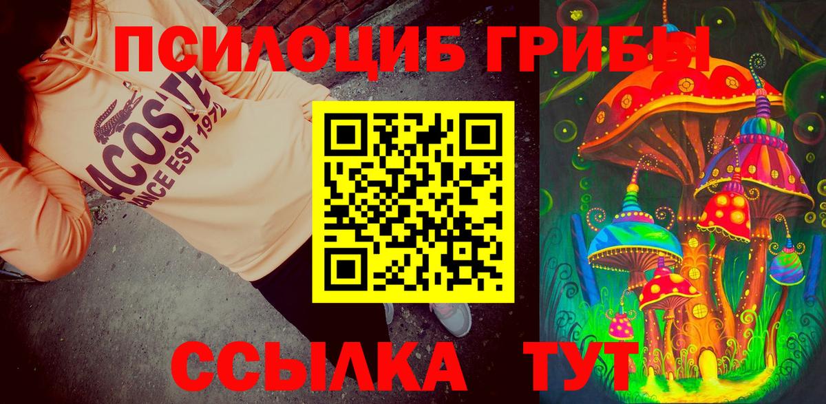 Псилоцибиновые грибы MAGIC MUSHROOMS  цена наркотик  Мичуринск  Вход с VPN 